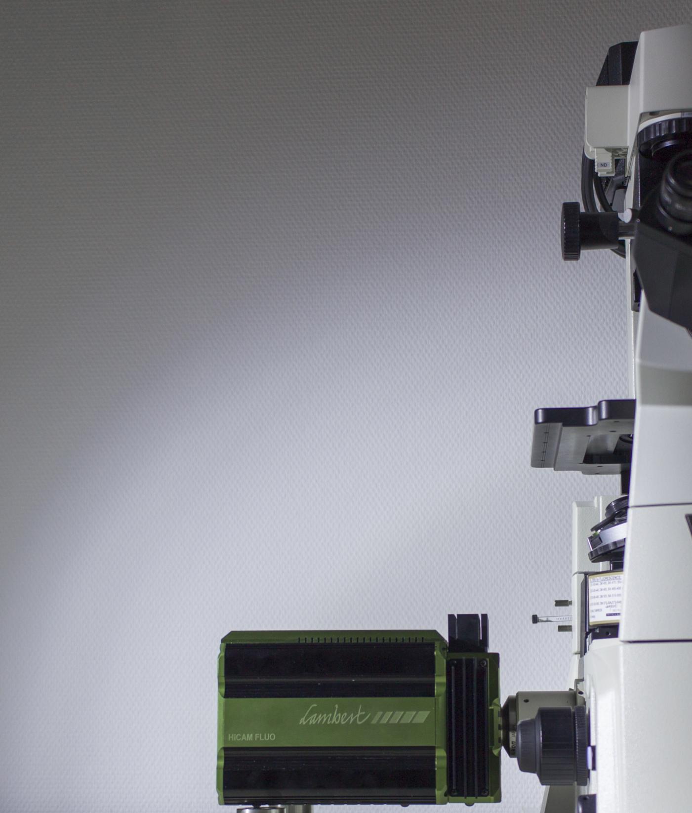HiCAM Fluo制冷型高速熒光相機